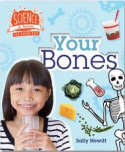 human body your bones